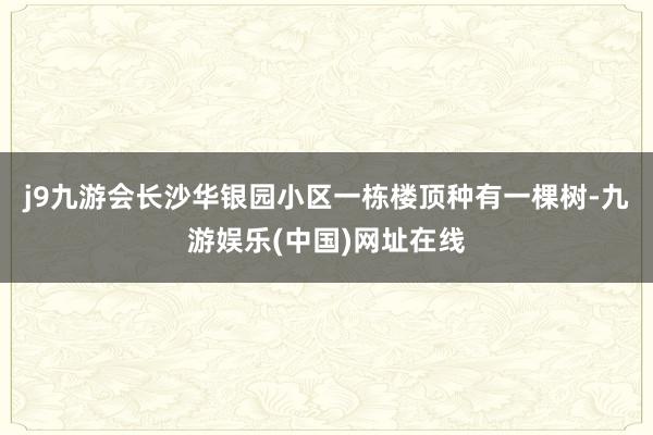 j9九游会长沙华银园小区一栋楼顶种有一棵树-九游娱乐(中国)网址在线